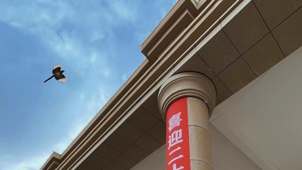 兰州信息科技学院师生喜迎二十大（组图）