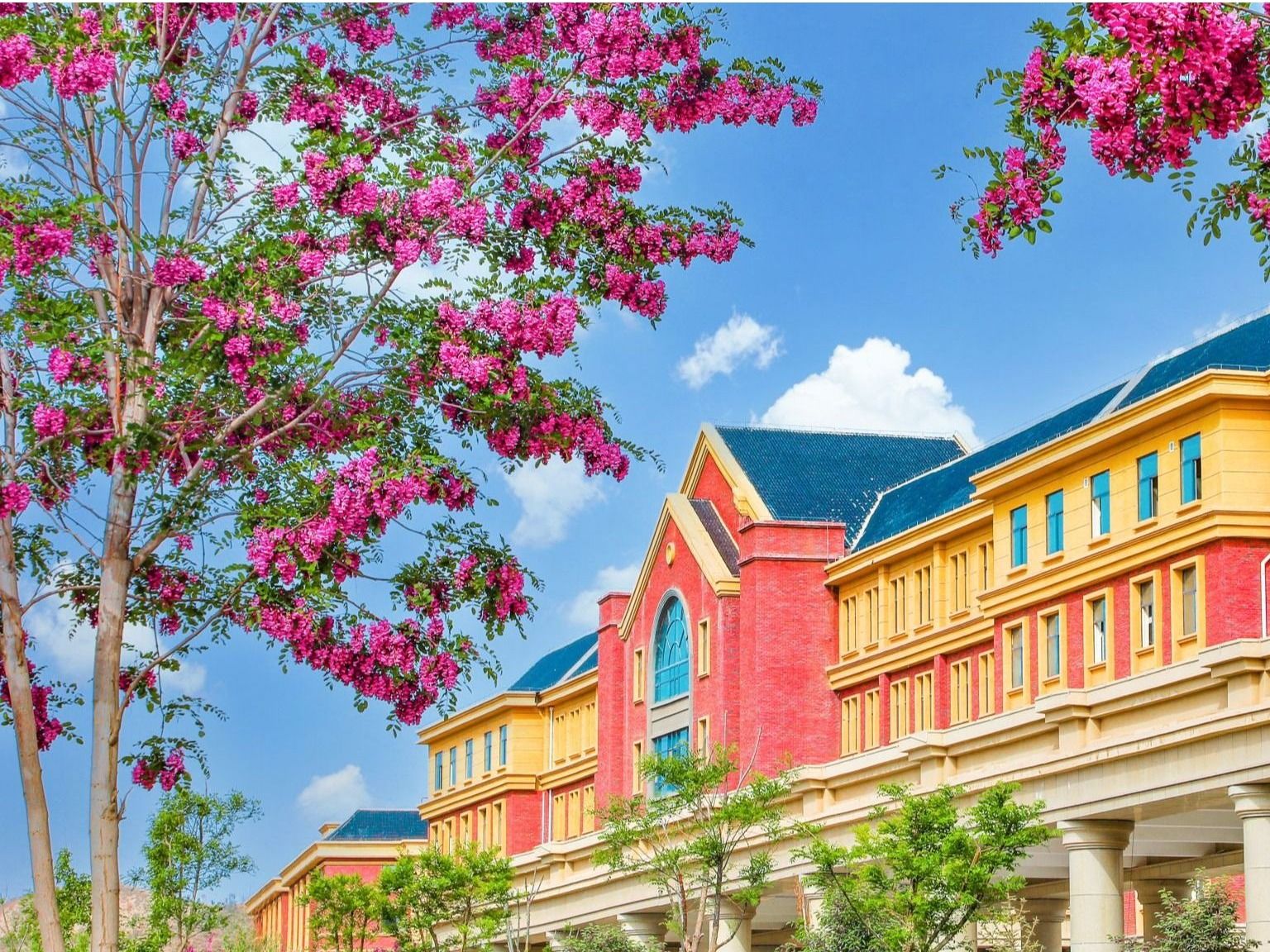 兰州信息科技学院：聚合资源，加强学科建设，培养高质量应用型人才