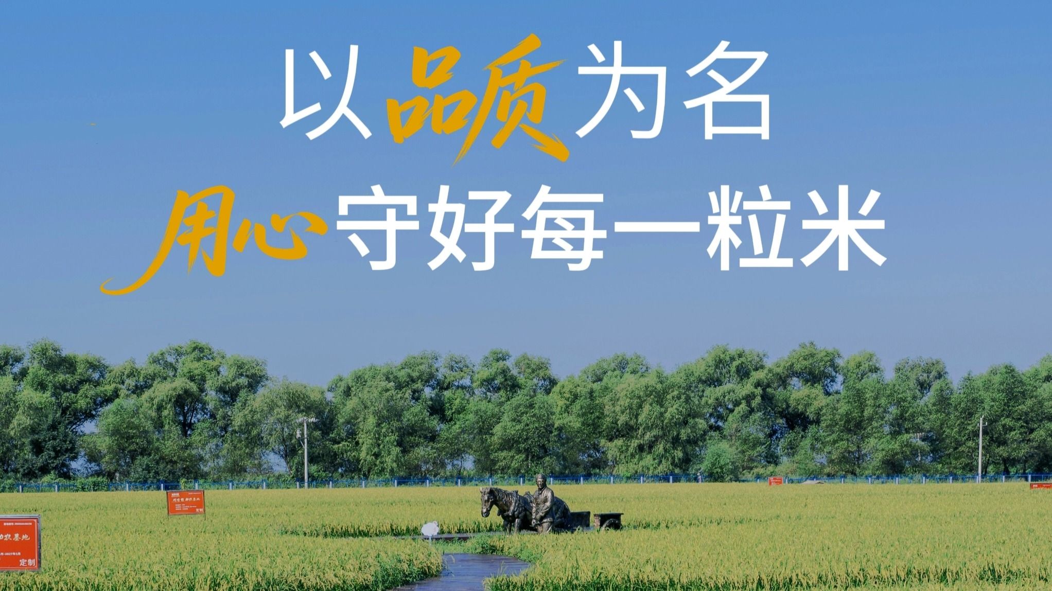 【一碗香米饭】以品质为名，用心守好每一粒米